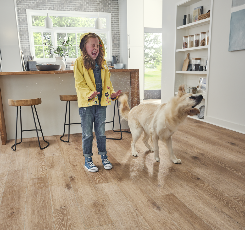 dog shaking off water with young girl in kitchen, oak croissant wood grain flooring